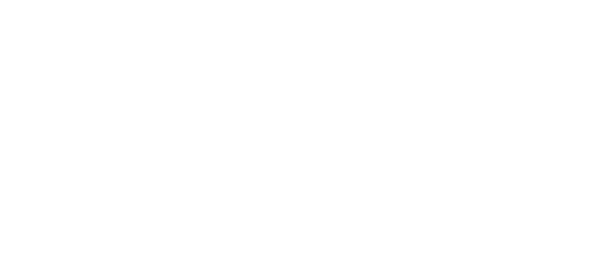 MAKSOY LİSANSLI DEPOCULUK